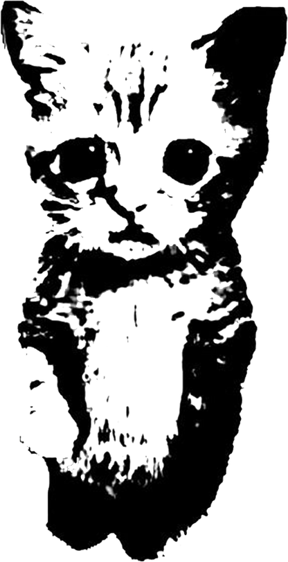 T-SHIRT Cat